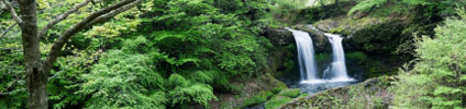 lush vegetation and waterfall, Glen Feigelman, LCSW Therapy services